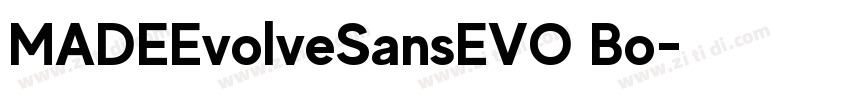 MADEEvolveSansEVO Bo字体转换